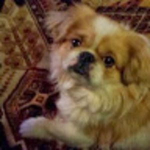 Meet your Posher, Ursula